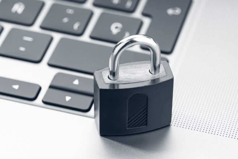 Web security for businesses